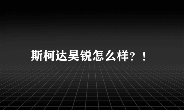 斯柯达昊锐怎么样？！