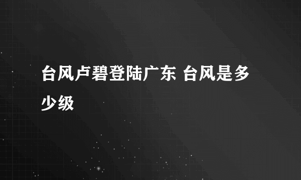 台风卢碧登陆广东 台风是多少级