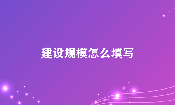 建设规模怎么填写