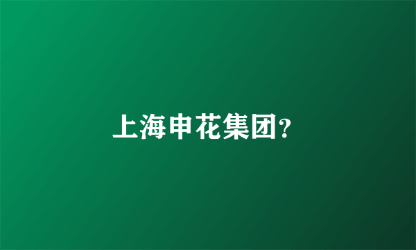 上海申花集团？