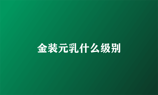 金装元乳什么级别