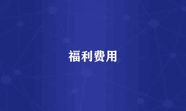 福利费用