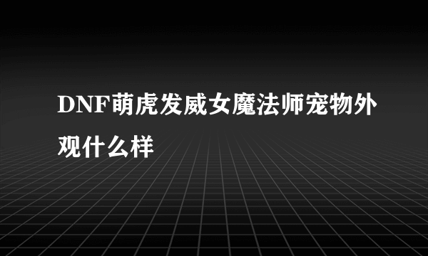 DNF萌虎发威女魔法师宠物外观什么样