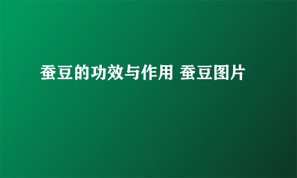 蚕豆的功效与作用 蚕豆图片
