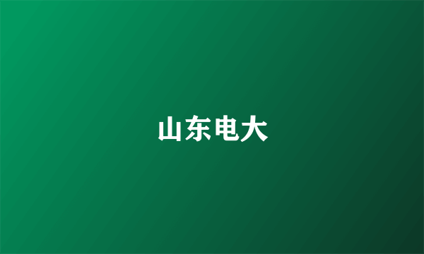 山东电大