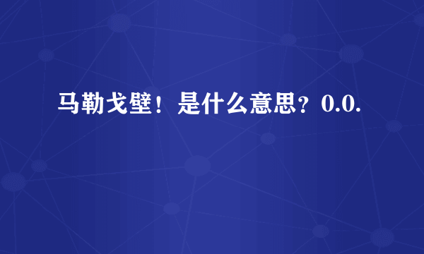 马勒戈壁！是什么意思？0.0.