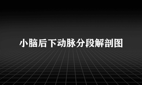 小脑后下动脉分段解剖图