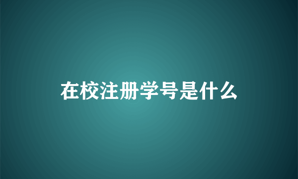 在校注册学号是什么