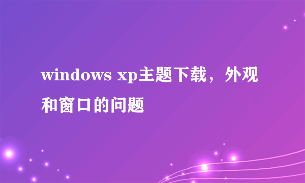windows xp主题下载，外观和窗口的问题