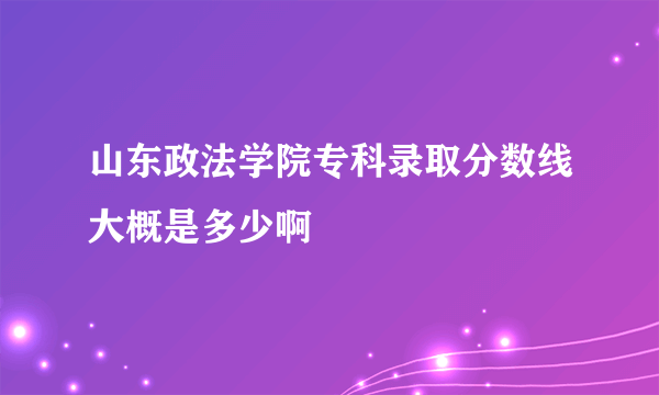 山东政法学院专科录取分数线大概是多少啊