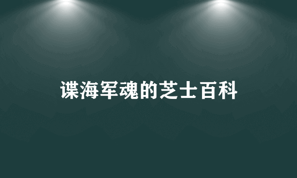 谍海军魂的芝士百科