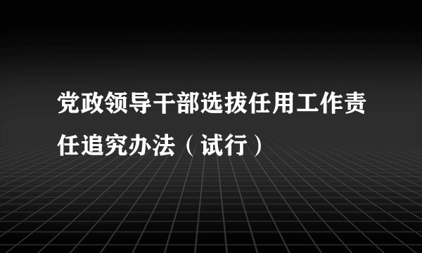 党政领导干部选拔任用工作责任追究办法（试行）