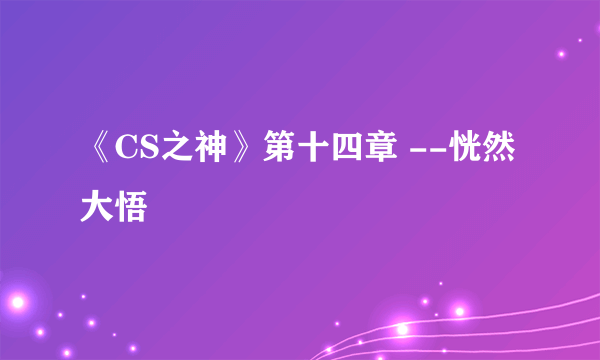 《CS之神》第十四章 --恍然大悟