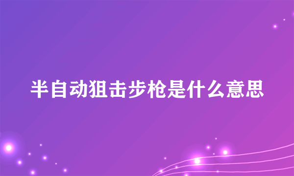 半自动狙击步枪是什么意思