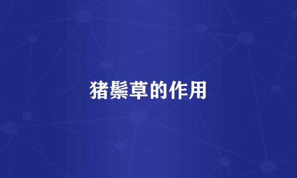 猪鬃草的作用