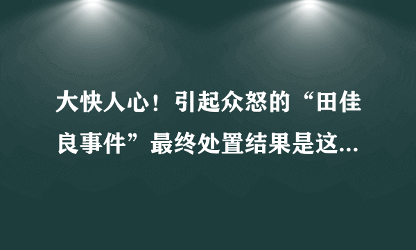 大快人心！引起众怒的“田佳良事件”最终处置结果是这样的！！