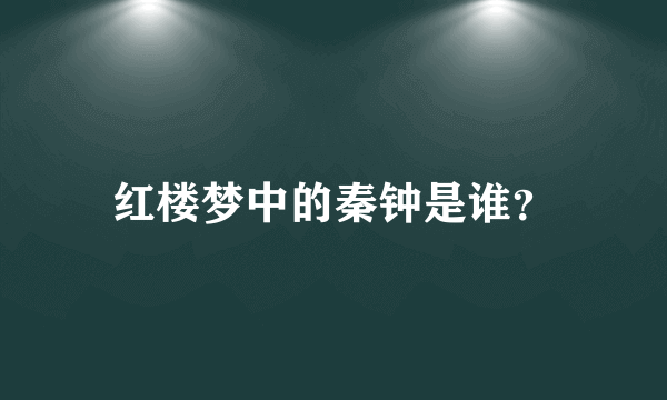 红楼梦中的秦钟是谁？