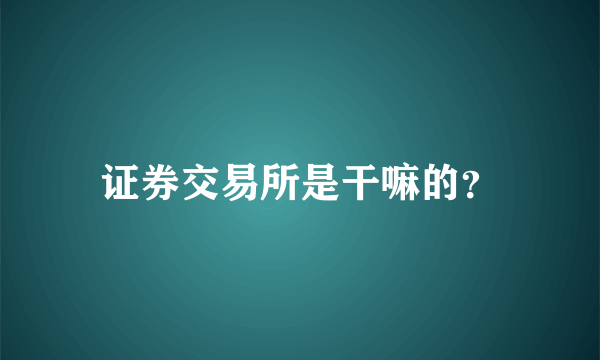 证券交易所是干嘛的？