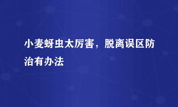 小麦蚜虫太厉害，脱离误区防治有办法