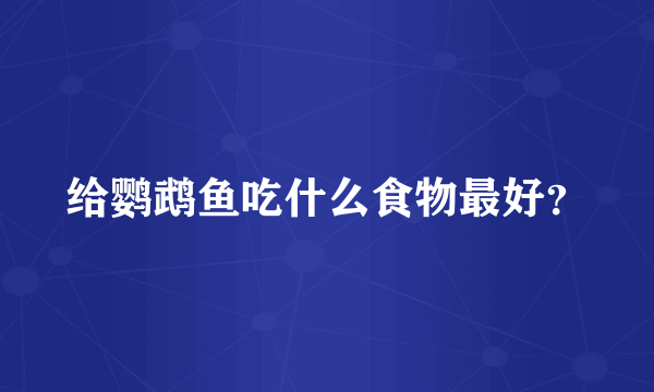 给鹦鹉鱼吃什么食物最好？