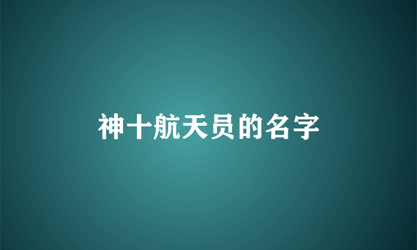 神十航天员的名字