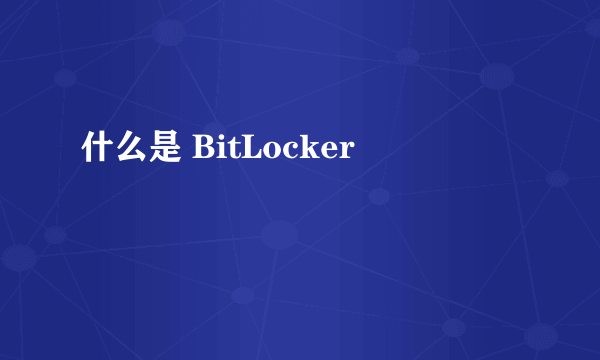 什么是 BitLocker