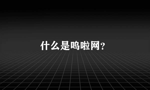 什么是呜啦网？