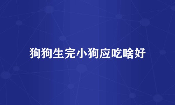 狗狗生完小狗应吃啥好