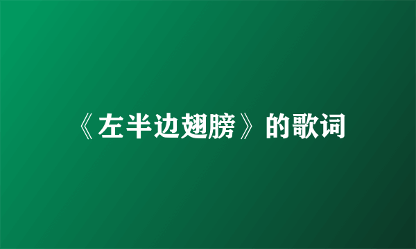 《左半边翅膀》的歌词