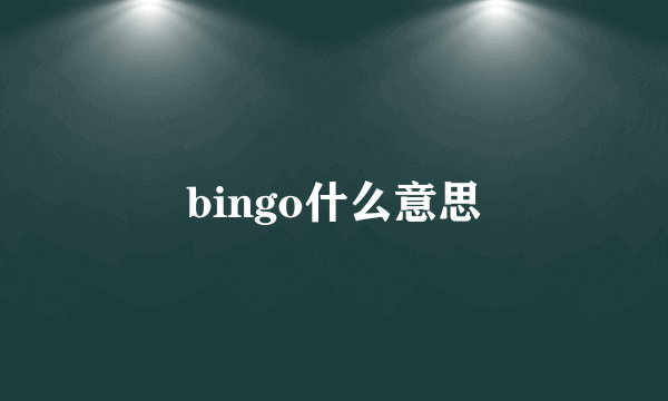 bingo什么意思