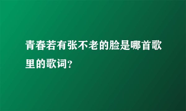 青春若有张不老的脸是哪首歌里的歌词？