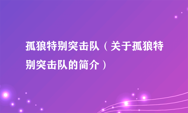 孤狼特别突击队（关于孤狼特别突击队的简介）