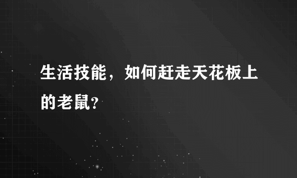 生活技能，如何赶走天花板上的老鼠？