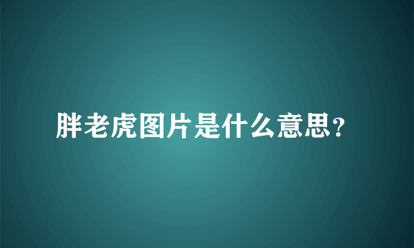 胖老虎图片是什么意思？