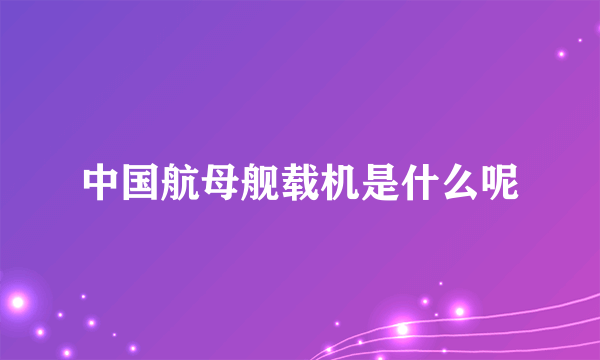 中国航母舰载机是什么呢