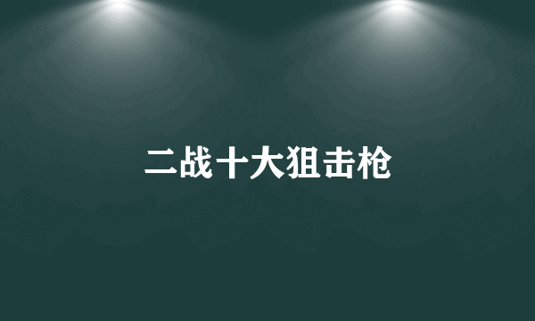 二战十大狙击枪