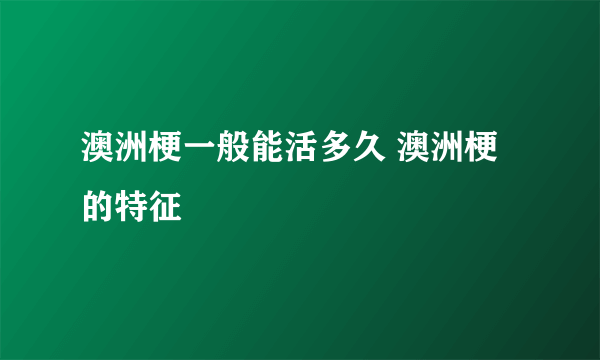 澳洲梗一般能活多久 澳洲梗的特征