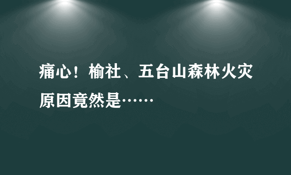 痛心！榆社、五台山森林火灾原因竟然是……