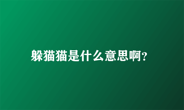 躲猫猫是什么意思啊？