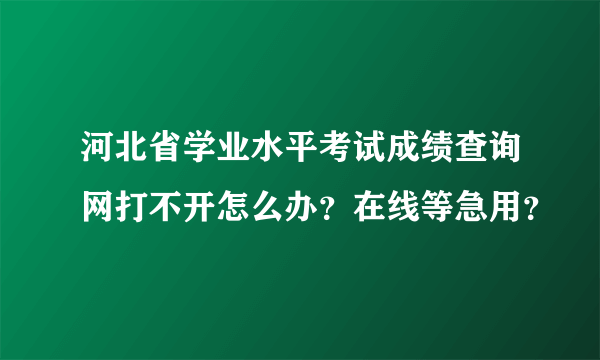 河北省学业水平考试成绩查询网打不开怎么办？在线等急用？