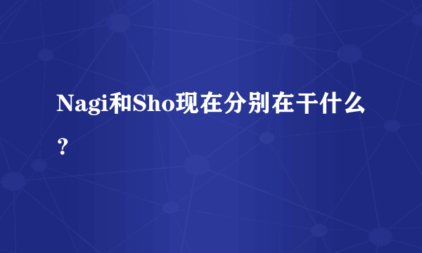 Nagi和Sho现在分别在干什么？