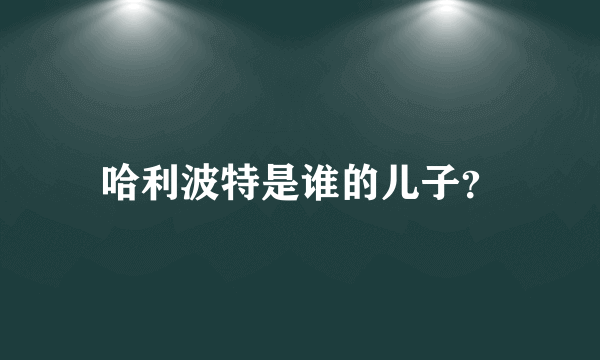 哈利波特是谁的儿子？