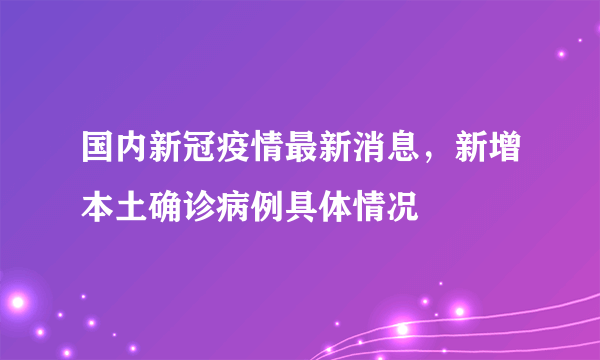 国内新冠疫情最新消息，新增本土确诊病例具体情况