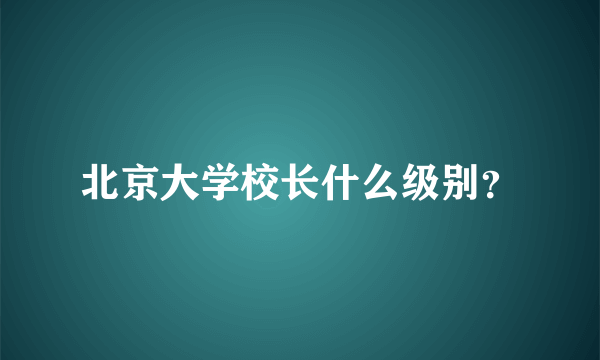 北京大学校长什么级别？