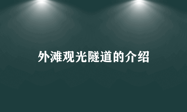 外滩观光隧道的介绍