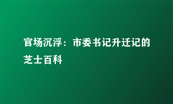 官场沉浮：市委书记升迁记的芝士百科