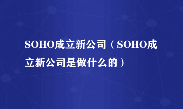 SOHO成立新公司（SOHO成立新公司是做什么的）