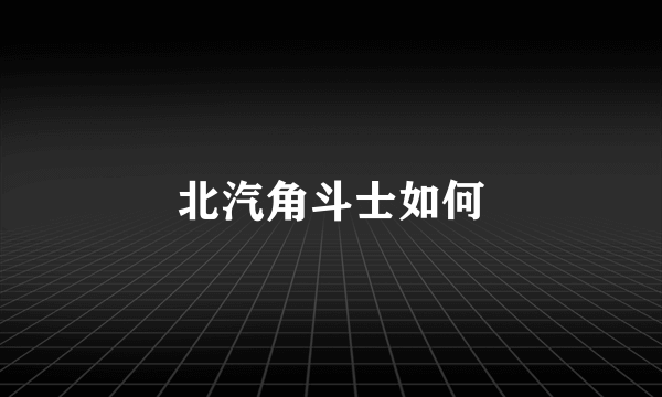 北汽角斗士如何