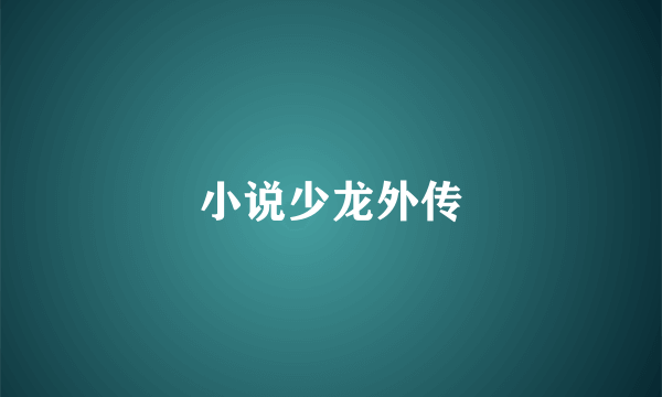 小说少龙外传