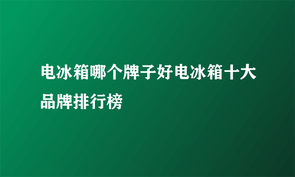 电冰箱哪个牌子好电冰箱十大品牌排行榜